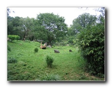 Click to enlarge or to suggest caption