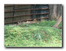 Click to enlarge or to suggest caption