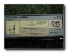 Click to enlarge or to suggest caption