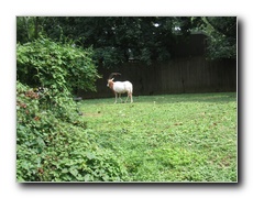 Click to enlarge or to suggest caption