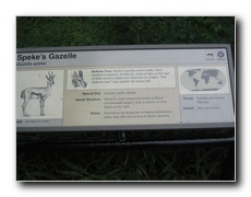 Click to enlarge or to suggest caption