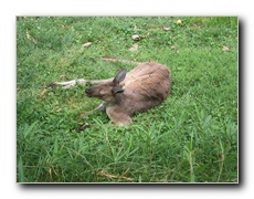 Click to enlarge or to suggest caption