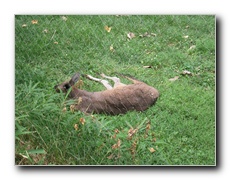 Click to enlarge or to suggest caption