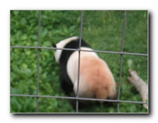 Click to enlarge or to suggest caption