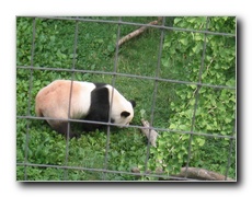 Click to enlarge or to suggest caption