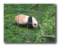 Click to enlarge or to suggest caption