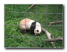 Click to enlarge or to suggest caption