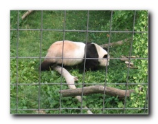 Click to enlarge or to suggest caption