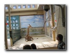 Click to enlarge or to suggest caption