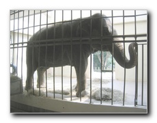 Click to enlarge or to suggest caption