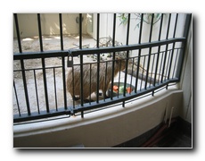 Click to enlarge or to suggest caption