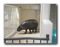 Click to enlarge or to suggest caption