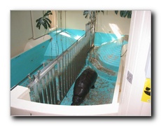 Click to enlarge or to suggest caption