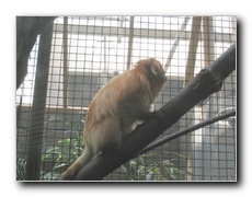 Click to enlarge or to suggest caption