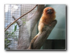 Click to enlarge or to suggest caption