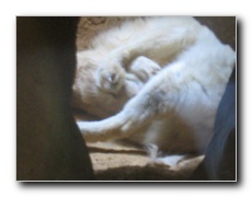 Click to enlarge or to suggest caption