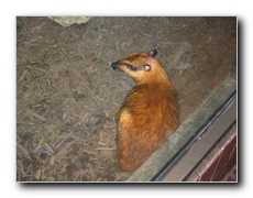 Click to enlarge or to suggest caption