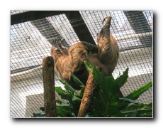 Click to enlarge or to suggest caption