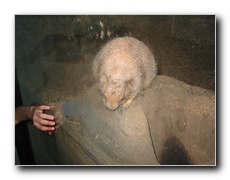 Click to enlarge or to suggest caption