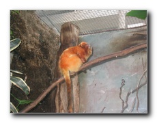 Click to enlarge or to suggest caption