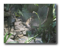 Click to enlarge or to suggest caption