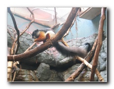 Click to enlarge or to suggest caption