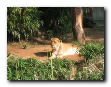 Click to enlarge or to suggest caption