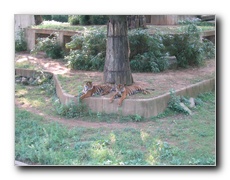 Click to enlarge or to suggest caption