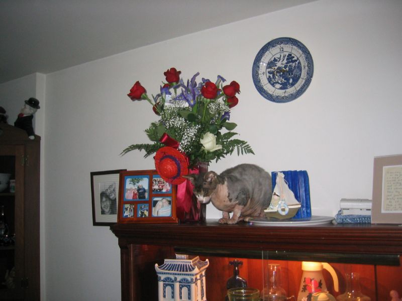 He was Robi's favorite