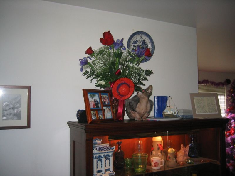 to keep Splotch from eating them