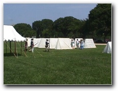 [Click to enlarge image]